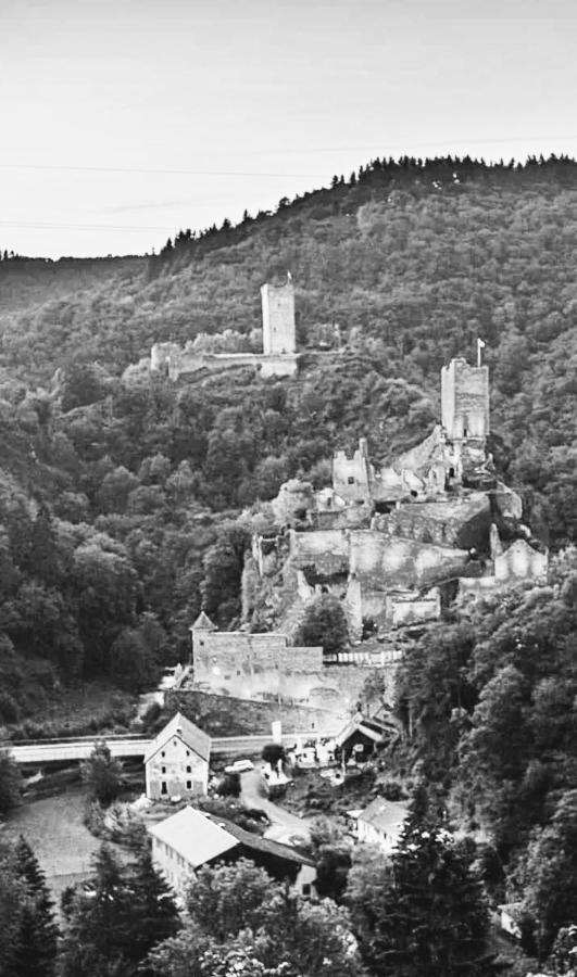 Herberg Die Alte Schleuse Мандершайд Екстериор снимка