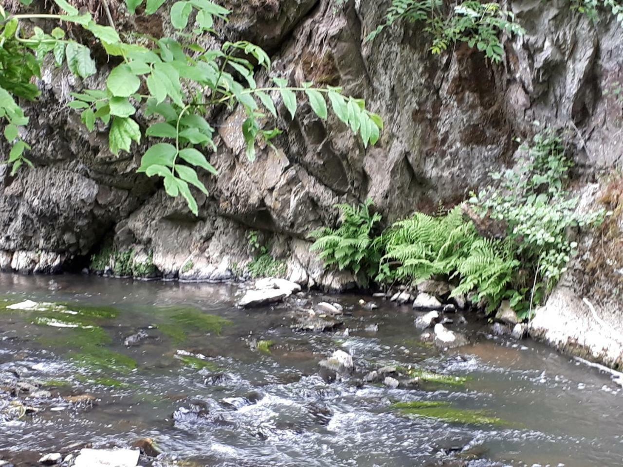 Herberg Die Alte Schleuse Мандершайд Екстериор снимка