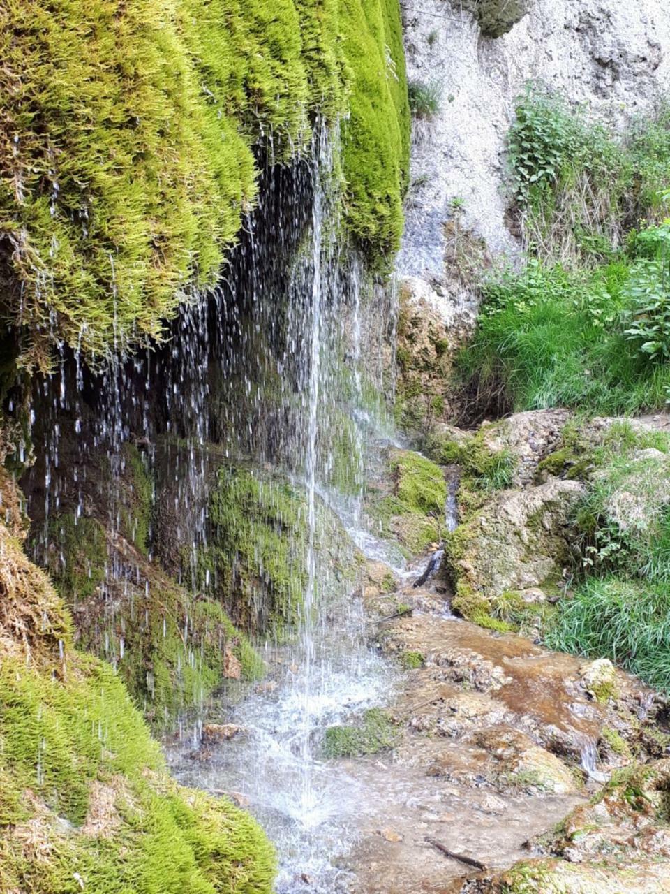 Herberg Die Alte Schleuse Мандершайд Екстериор снимка