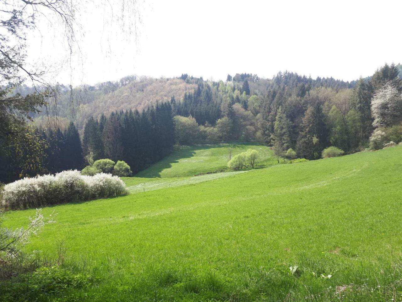 Herberg Die Alte Schleuse Мандершайд Екстериор снимка